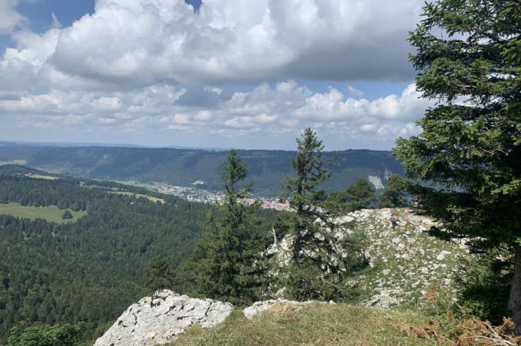 Haut de la Combe Grède côté est