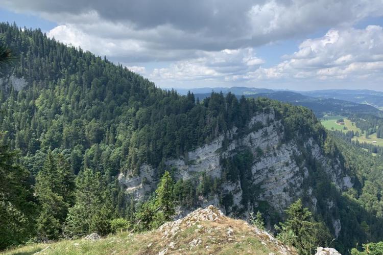 Haut de la Combe Grède, côté est